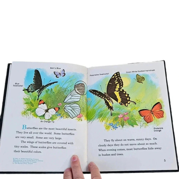 Butterflies Other - Sweet Little Vintage Book of Butterflies- Published in 1961